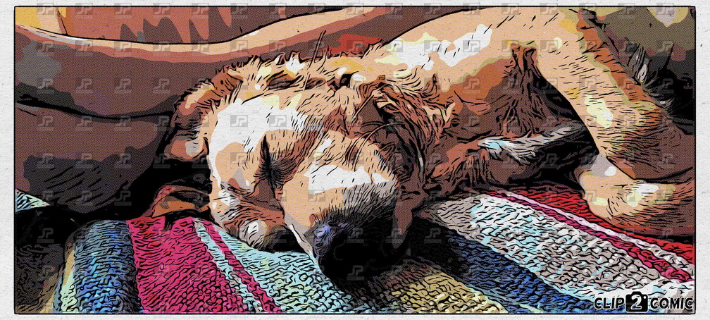 Clip2Comic-2023-10-08-20-38-32